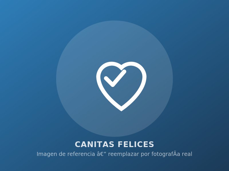 Terapeuta realizando ejercicios de movilidad con un residente
